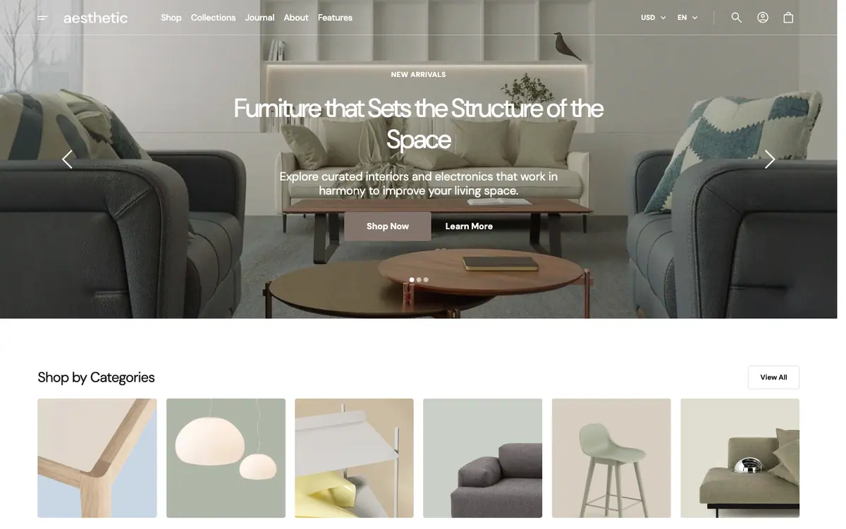 Aesthetic theme demo store