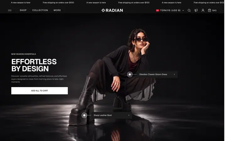 Radian Shopify teması demo mağaza görünümü