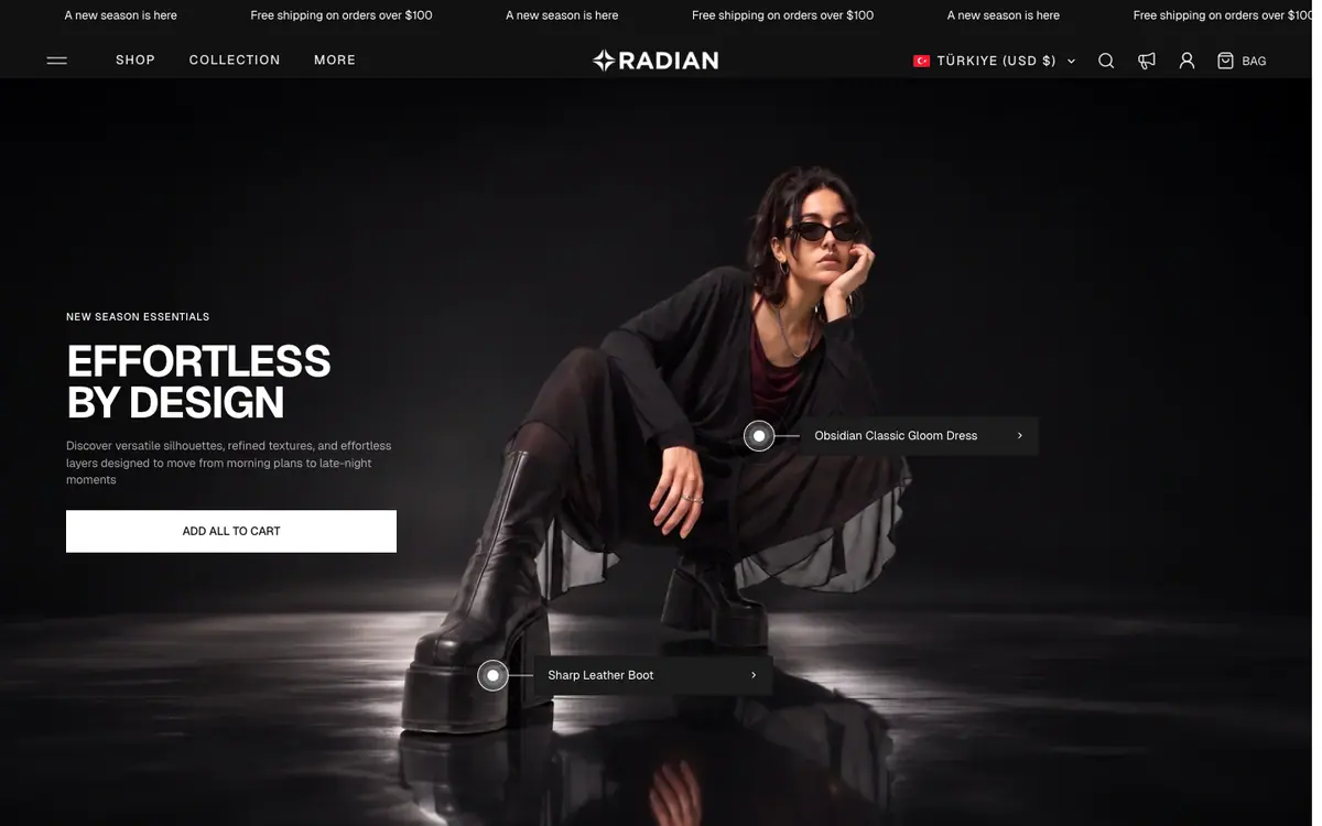 Radian theme demo store